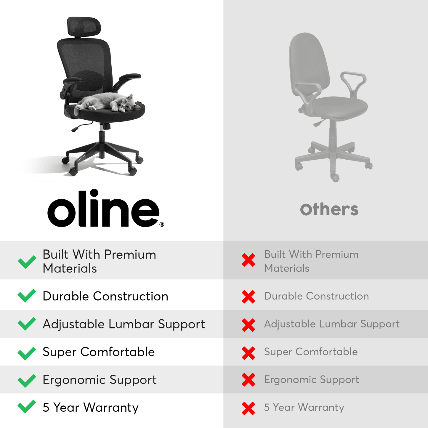ErgoAir Ergonomic Office Chair
