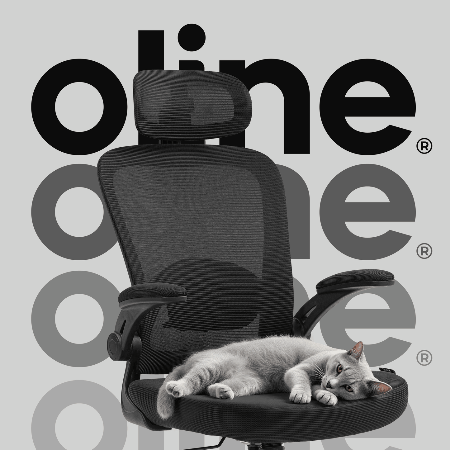 ErgoAir Ergonomic Office Chair