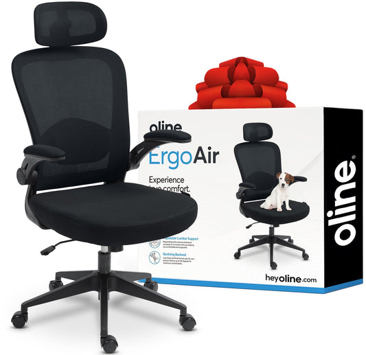 ErgoAir Ergonomic Office Chair