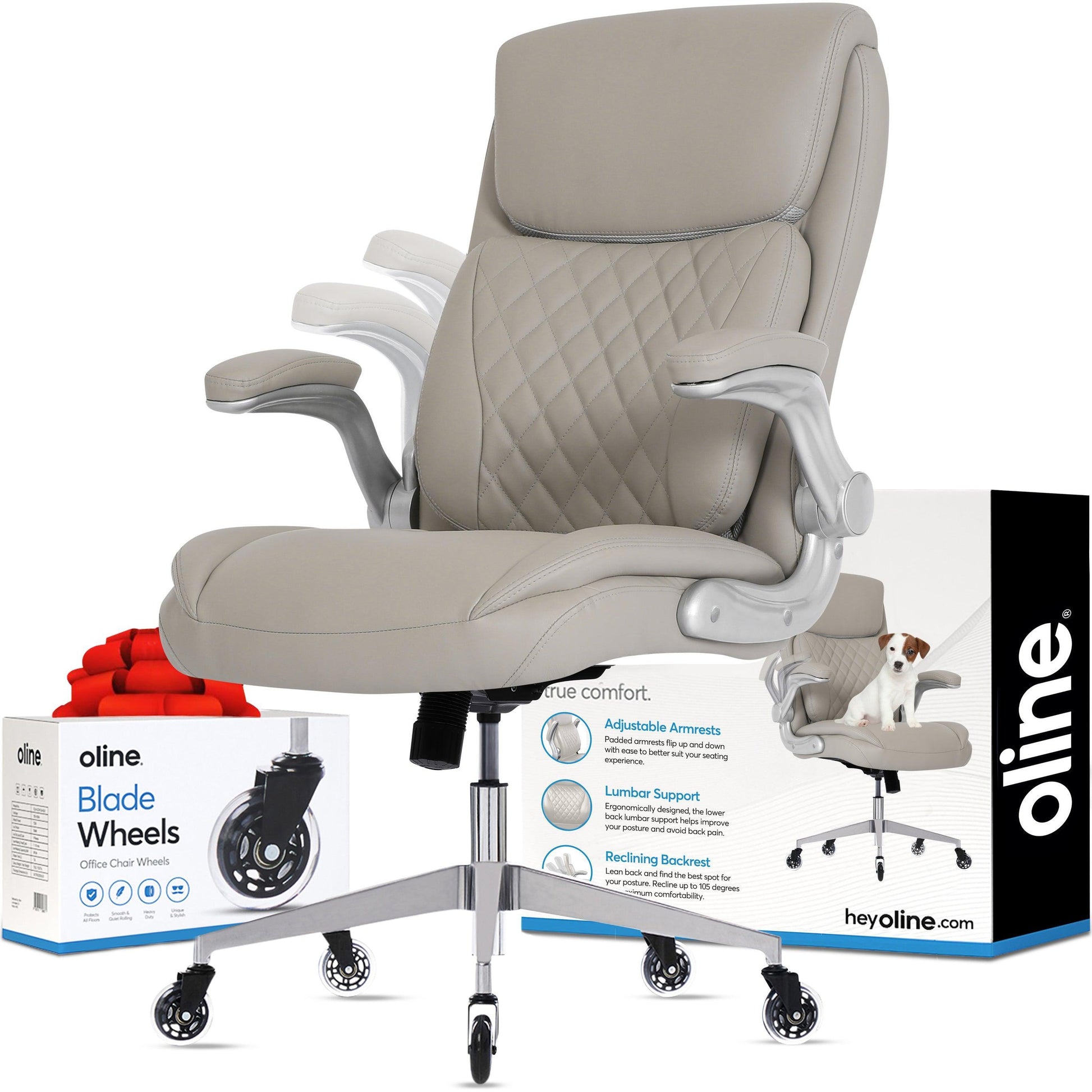 ErgoAce Executive Ergonomic Office Chair - Oline