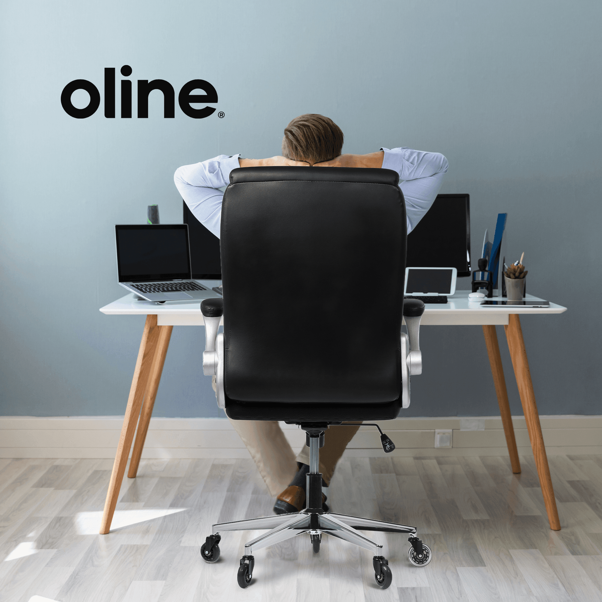 ErgoLux Executive Ergonomic Office Chair - Oline