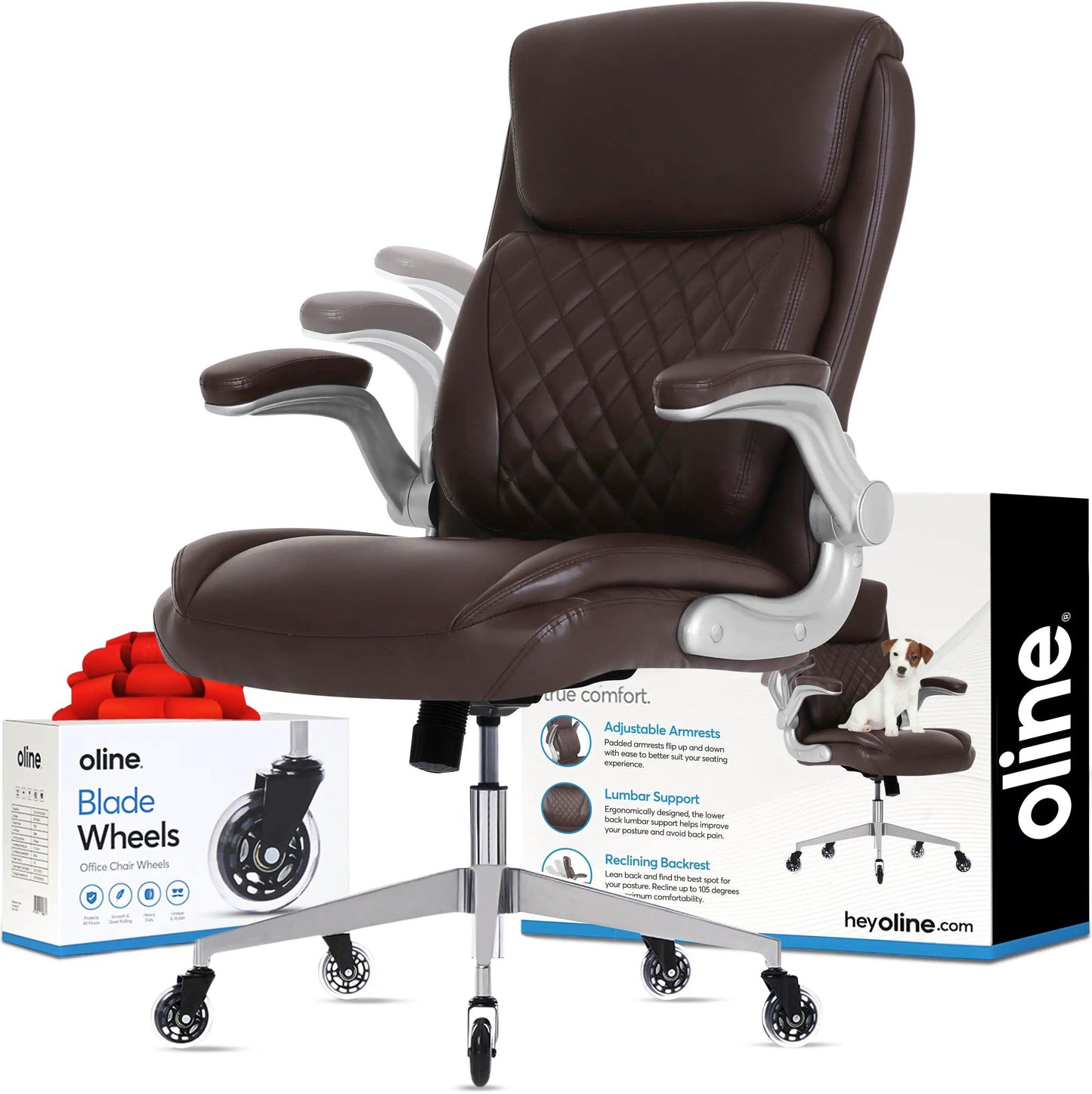 Oline ErgoAce Executive Ergonomic Office Chair