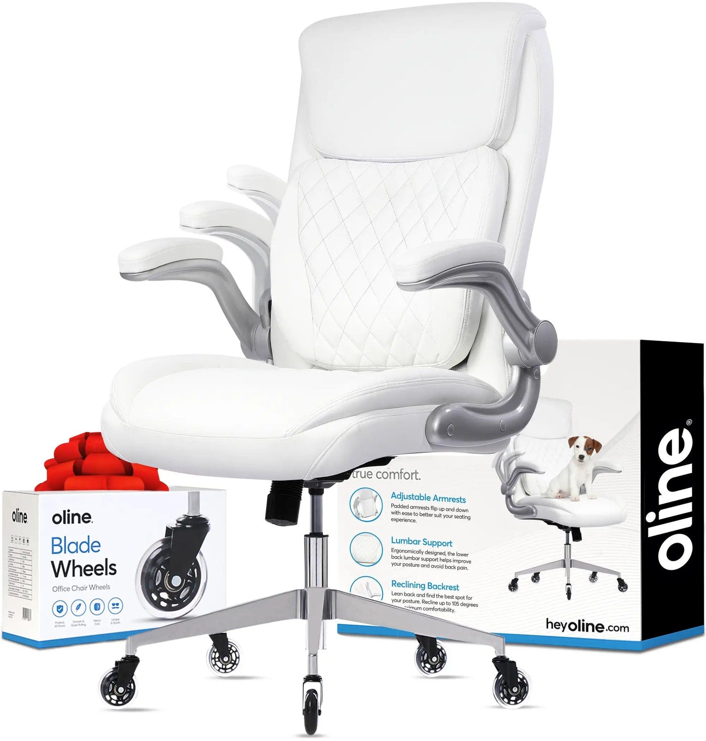 ErgoAce Executive Ergonomic Office Chair - Oline