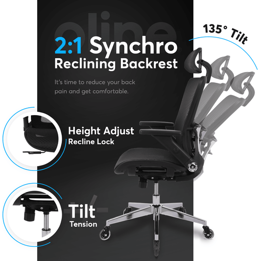 Oline Ergonomic Office Chairs for the Office and Home